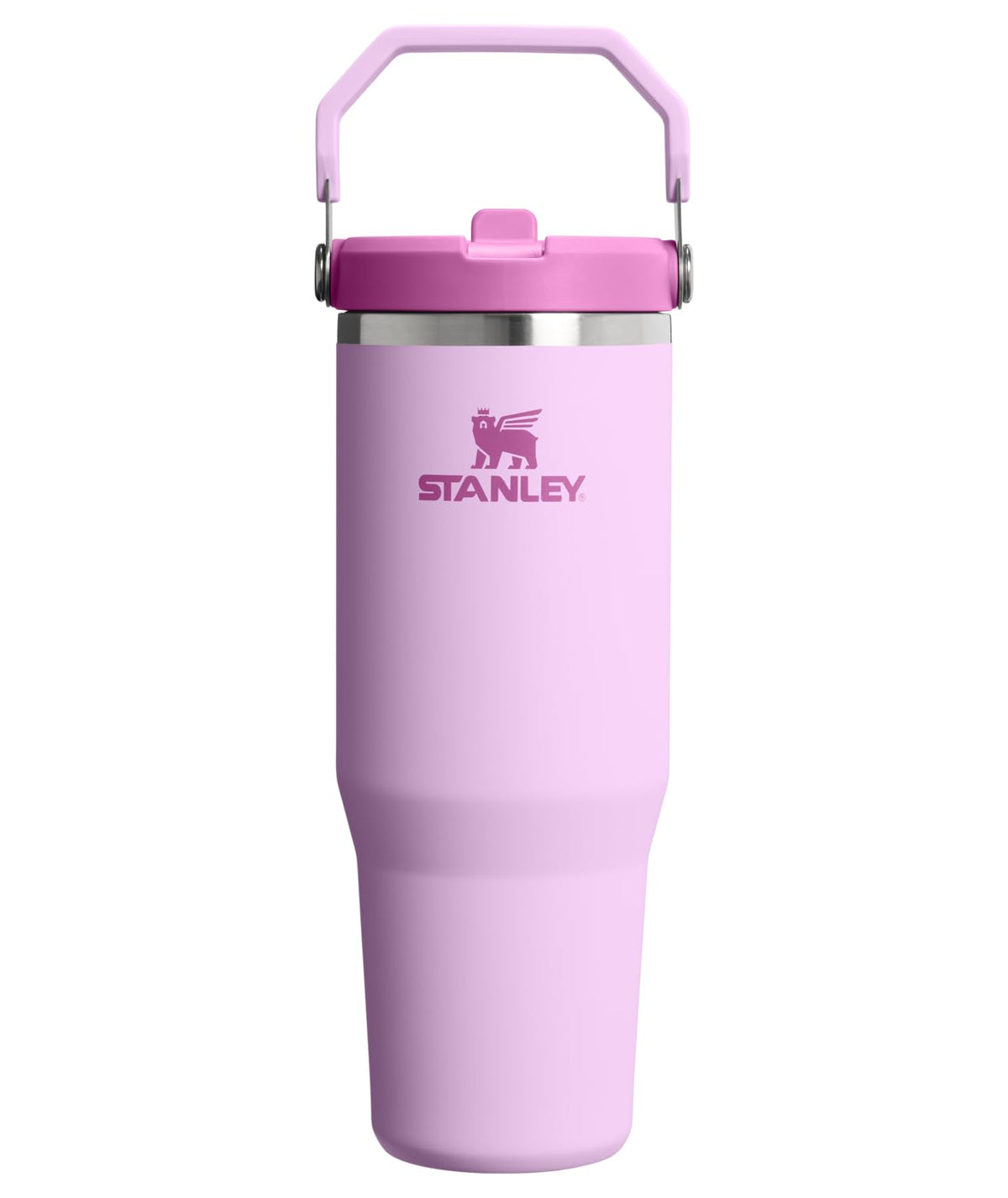 Stanley IceFlow Stainless Steel Water Jug with Straw, Vacuum Insulated Water Bottle for Home and Office, Reusable Tumbler with Straw Leak Resistant Flip, Pool, 40 oz / 1.18 L