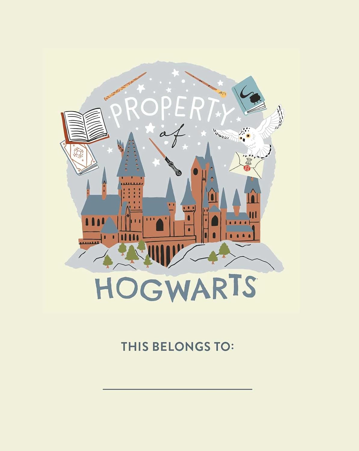 Harry Potter: Hogwarts Lock & Key Diary: Lock & Key Diary with Invisible Ink Pen