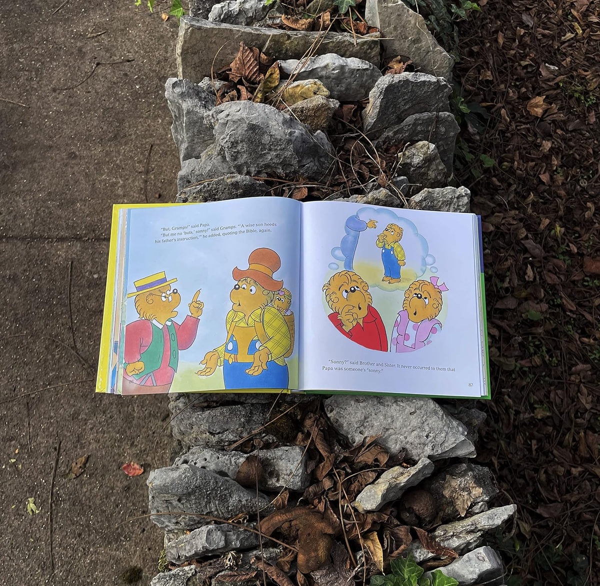 The Berenstain Bears Values and Virtues Treasury: 8 Books in 1