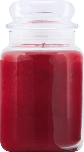 Yankee Candle Large Jar Scented Candle with up to 150 Hour Burn Time, Premium Plant Wax Blend for Cleaner Consistent Burn and Room Filling Fragrance, 22 oz, Christmas Cookie