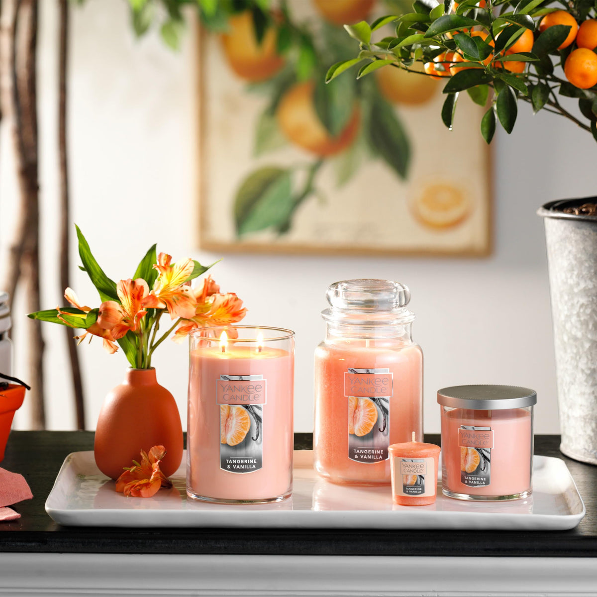 Yankee Candle Large Jar Scented Candle with up to 150 Hour Burn Time, Premium Plant Wax Blend for Cleaner Consistent Burn and Room Filling Fragrance, 22 oz, Pink Sands